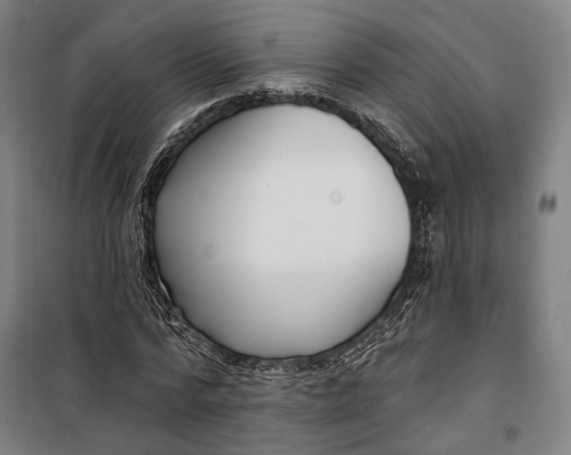 X0000099540776200806061453