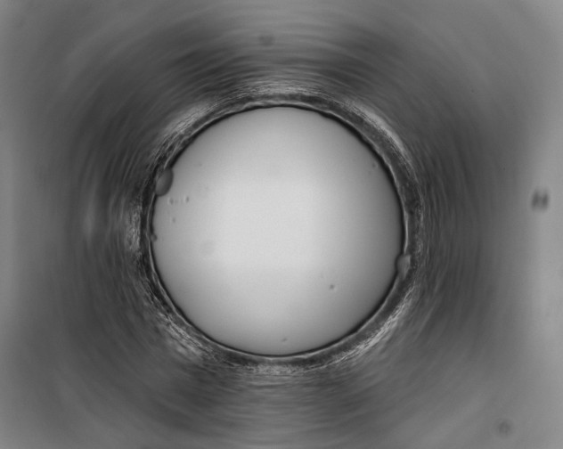 X0000099540777200806061453