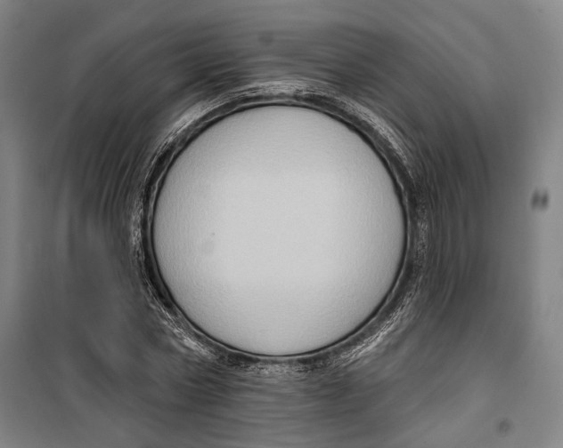 X0000099540778200806061453