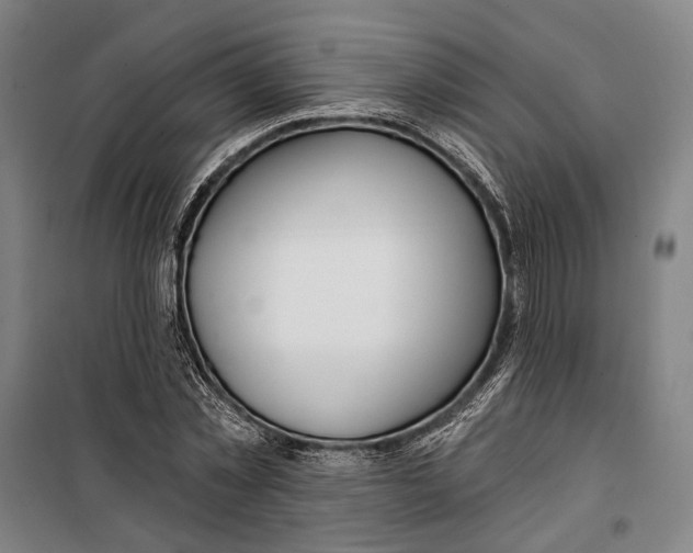 X0000099540781200806061453