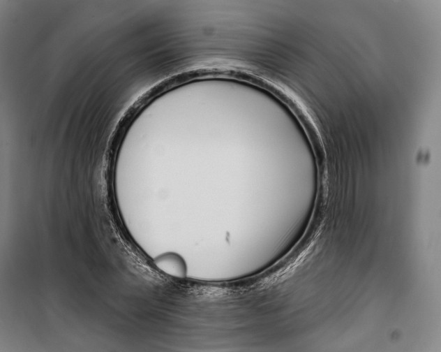 X0000099540783200806061453