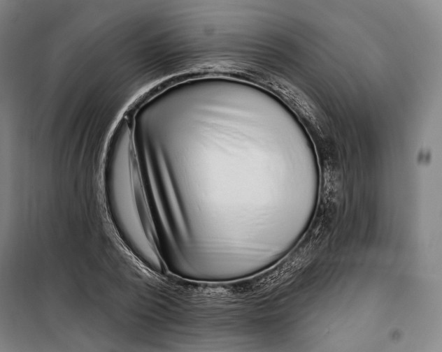 X0000099540784200806061453