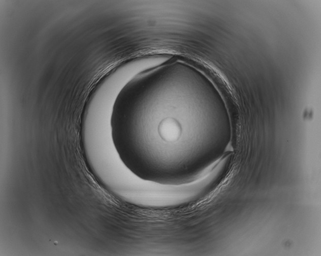 X0000099540785200806061453