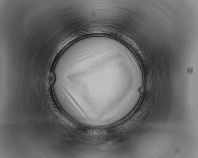 X0000099540786200806061453