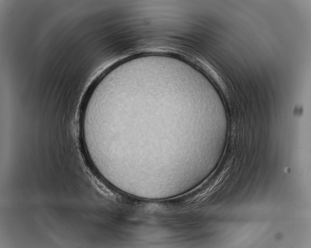 X0000099540787200806061453