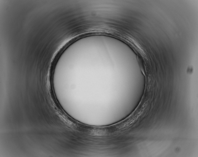 X0000099540788200806061453