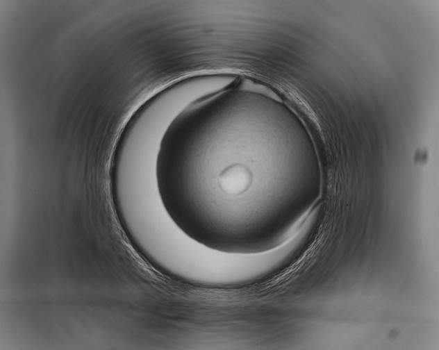 X0000099540789200806061453