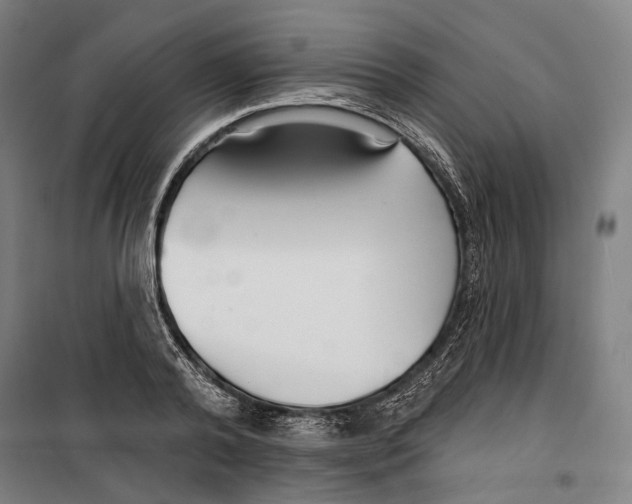 X0000099540792200806061453