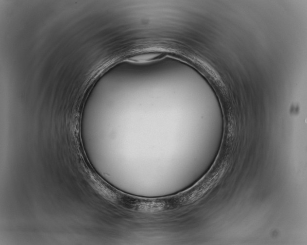 X0000099540793200806061453