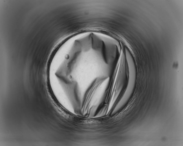 X0000099540795200806061453