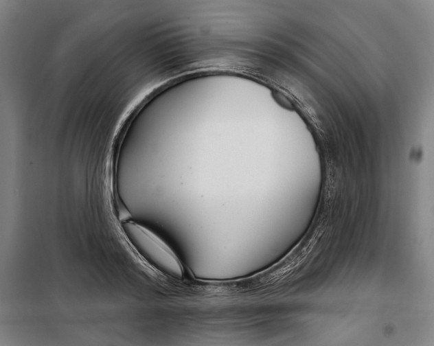 X0000099540796200806061453