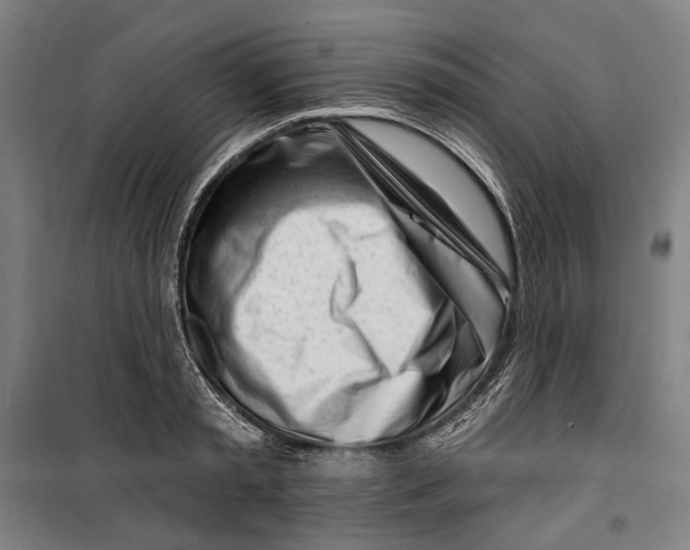 X0000099540797200806061453