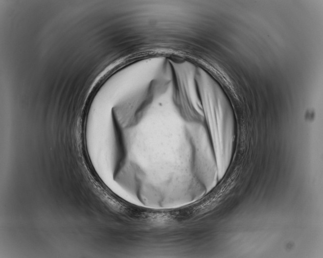 X0000099540798200806061453