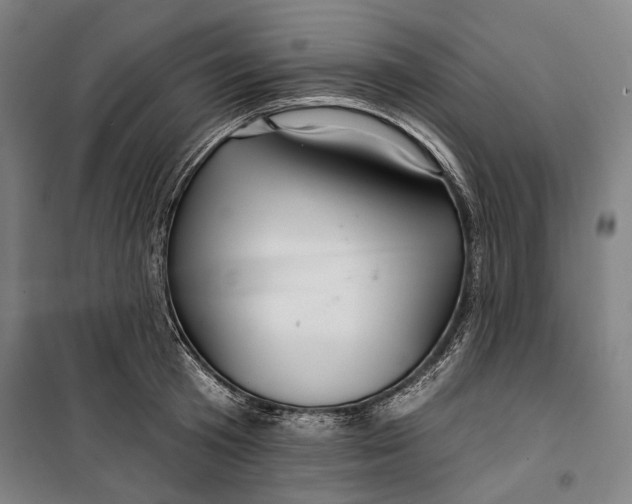 X0000099540801200806061453