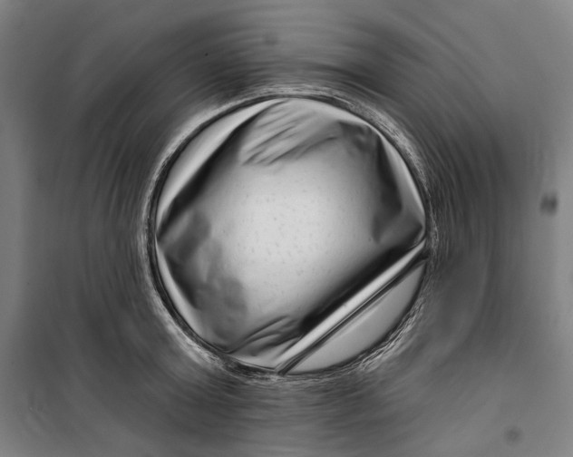 X0000099540803200806061453