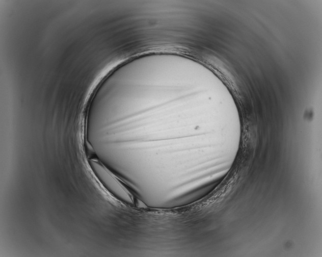 X0000099540804200806061453