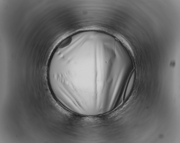 X0000099540805200806061453