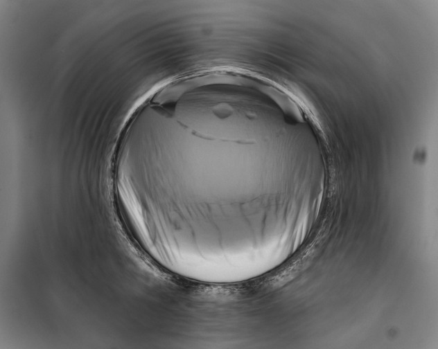 X0000099540806200806061453