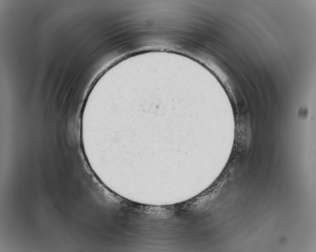 X0000099540807200806061453