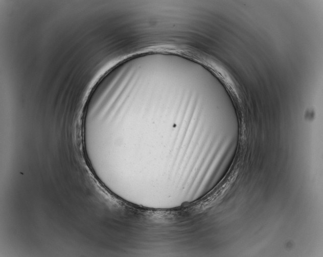 X0000099540808200806061453