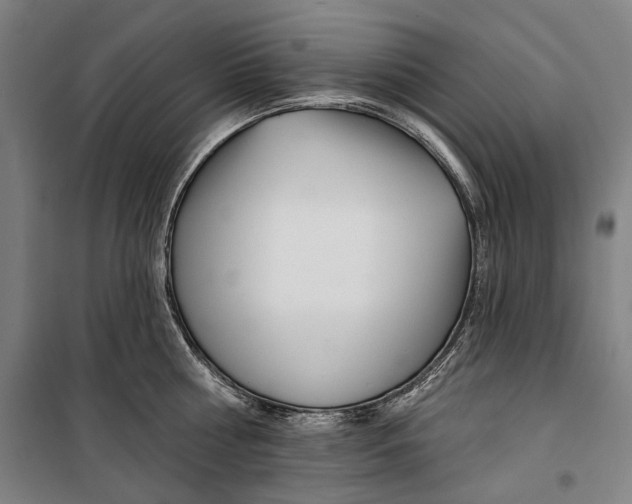 X0000099540810200806061453