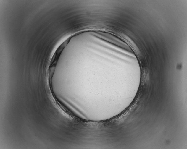 X0000099540812200806061453