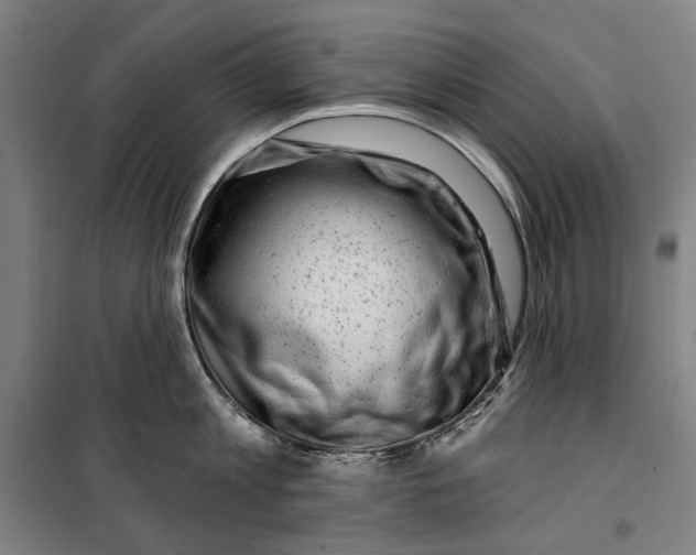 X0000099540813200806061453