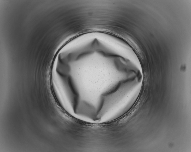 X0000099540814200806061453