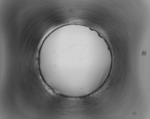 X0000099540816200806061453