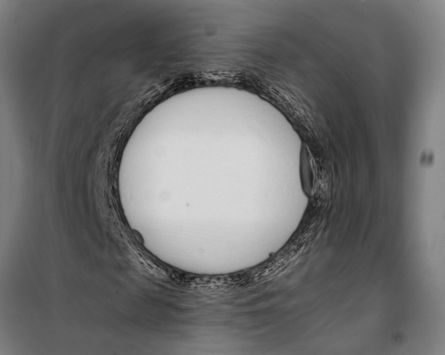 X0000099540817200806061452