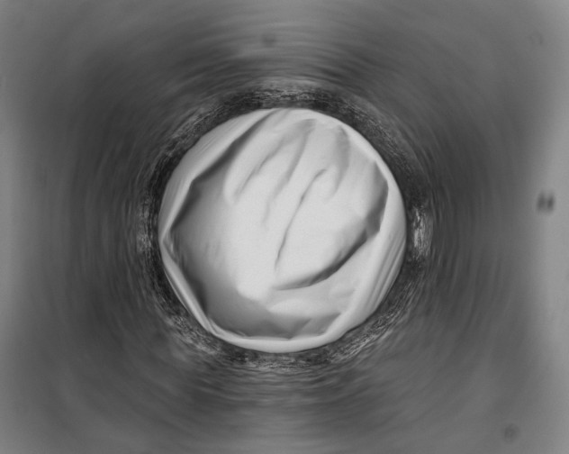 X0000099540819200806061452