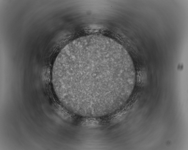 X0000099540820200806061452