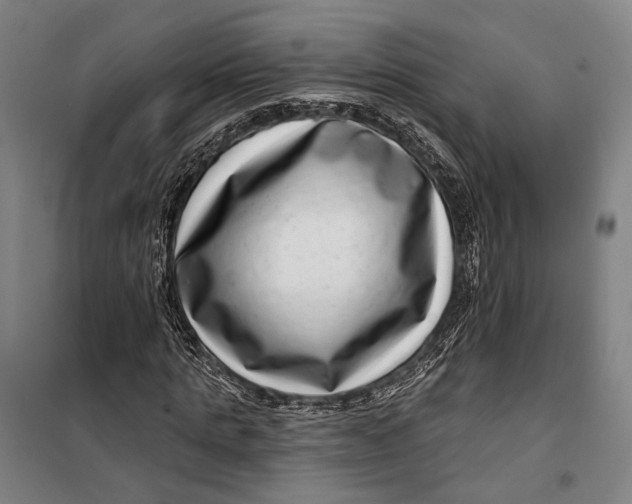 X0000099540821200806061452