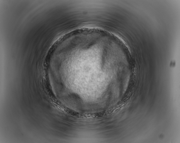 X0000099540823200806061452