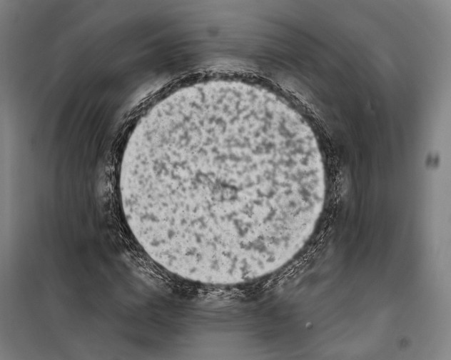 X0000099540824200806061452