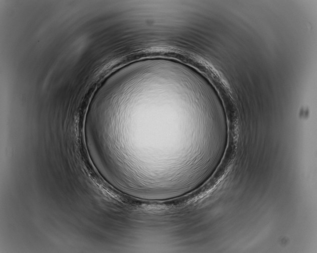 X0000099540825200806061452