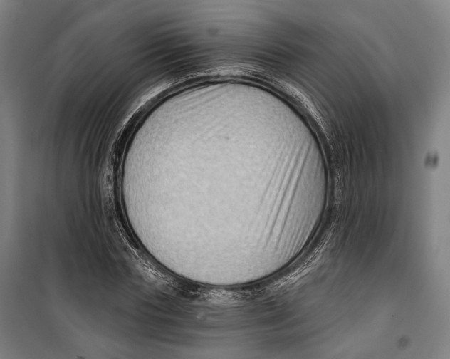 X0000099540827200806061452