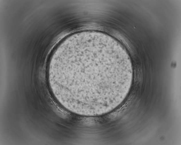 X0000099540828200806061452