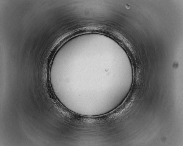 X0000099540829200806061452