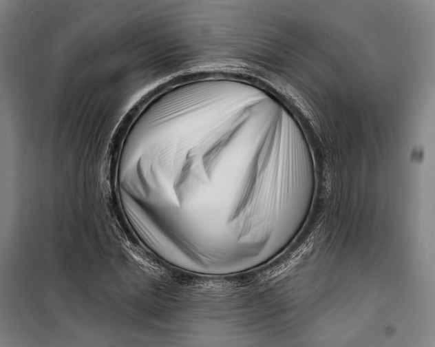 X0000099540830200806061452