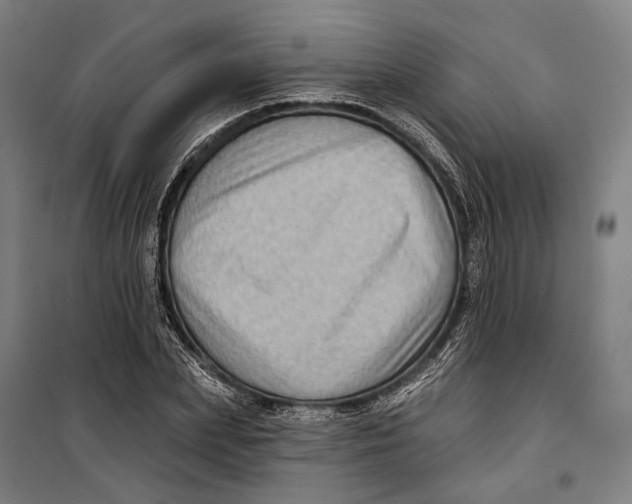 X0000099540831200806061452