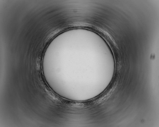 X0000099540833200806061452