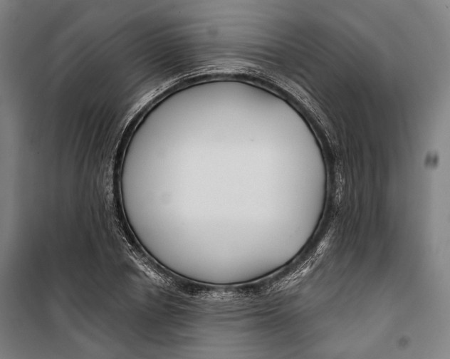 X0000099540834200806061452