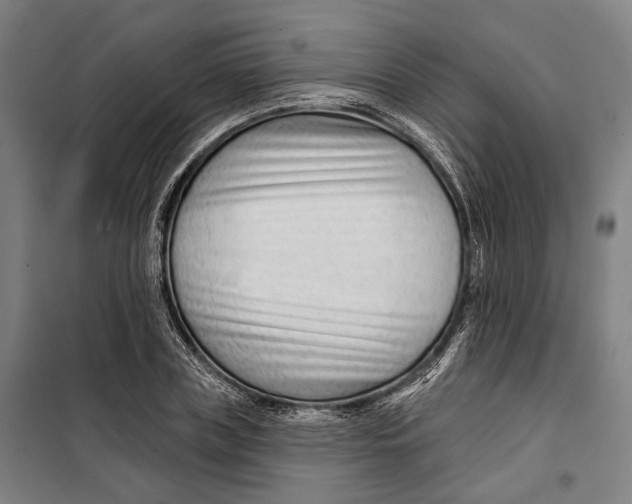 X0000099540835200806061452