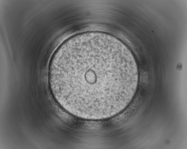 X0000099540836200806061452