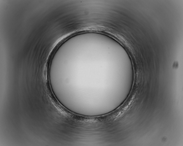 X0000099540838200806061452