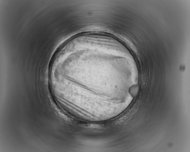 X0000099540839200806061452