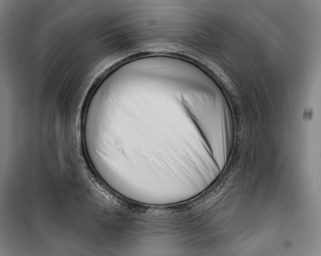 X0000099540840200806061452