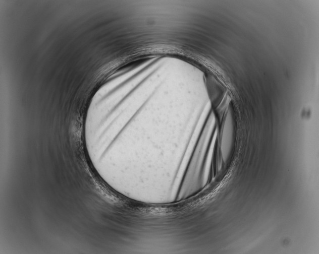 X0000099540841200806061452