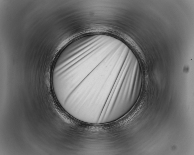 X0000099540842200806061452